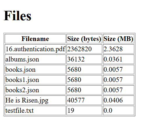 Screenshot of Flask Python file server update showing file sizes